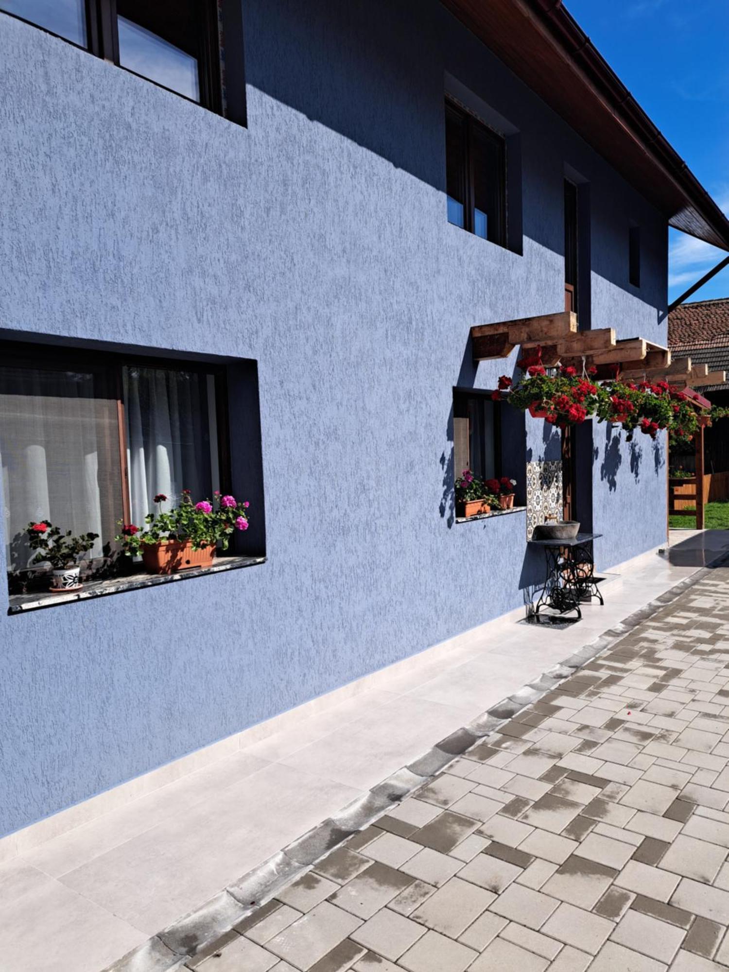 Casa Rustica Saceleana Villa Exterior photo